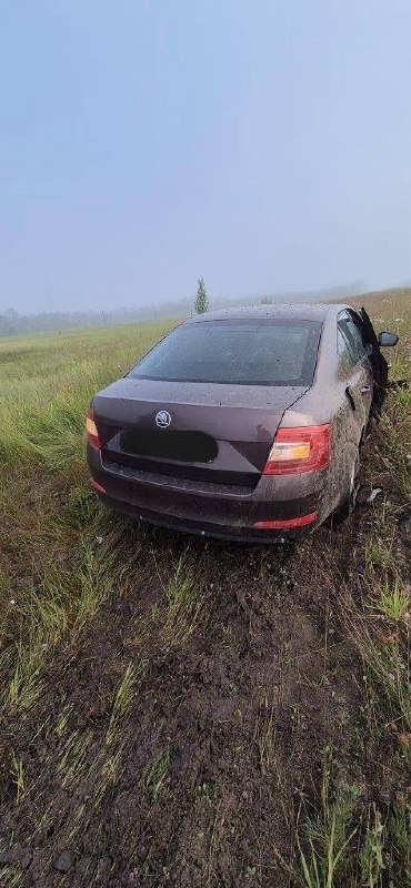 Skoda Octavia 2015